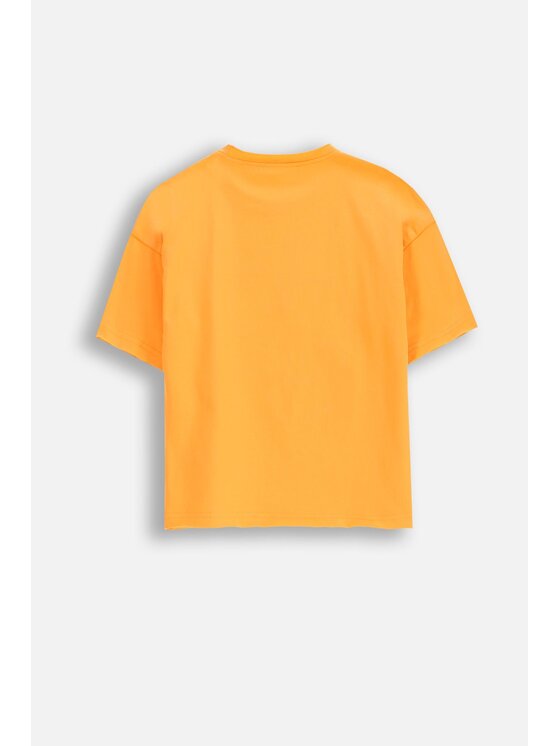 Coccodrillo Coccodrillo T-Shirt WC5143204MGK-006 Pomarańczowy Regular Fit