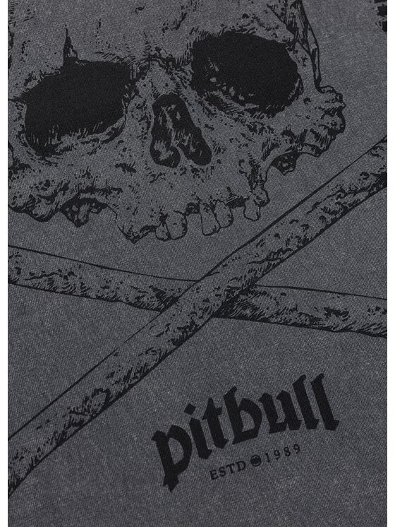 PITBULL PITBULL T-Shirt FEAR NO PAIN Szary Regular Fit