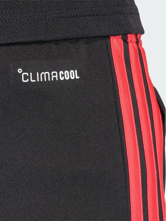 adidas adidas Szorty sportowe 158644 Czarny Regular Fit