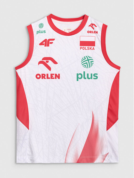 4F 4F Koszulka techniczna TEAMWEAR Kolorowy Regular Fit