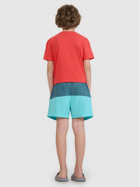 4F 4F Szorty sportowe VIBRANT WARMTH Turkusowy Regular Fit