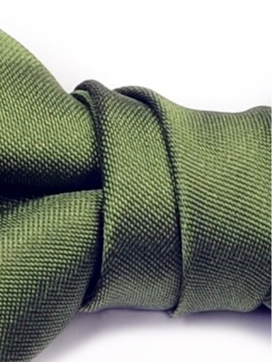 ELSNER ELSNER Παπιγιόν BUTTERFLY Z JEDWABNEGO ŻAKARDU A1181 Πράσινο