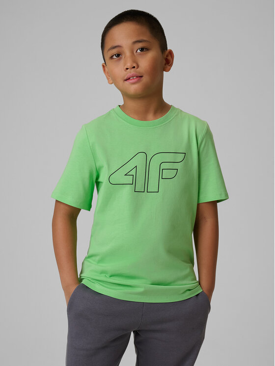 4F 4F T-Shirt BASIC+ Zielony Regular Fit