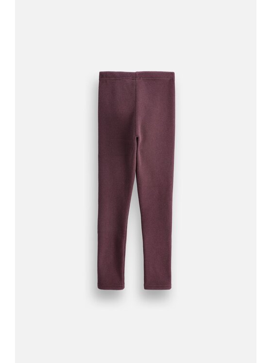 Coccodrillo Coccodrillo Legginsy ZC6122601WGK-017 Bordowy