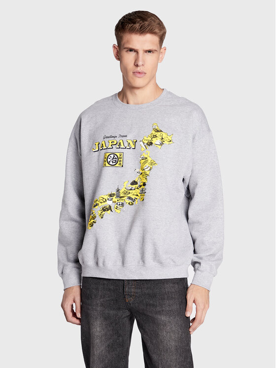 BDG Urban Outfitters Džemperis 75327767 Pilka Regular Fit