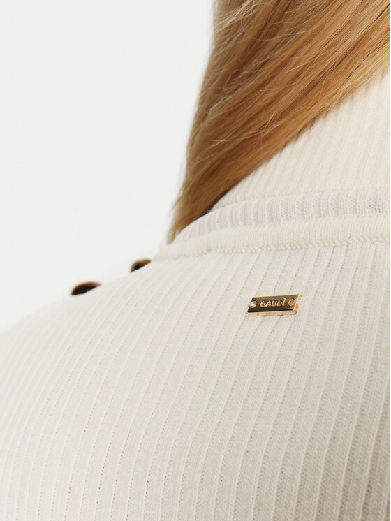 Gaudi Gaudi Rollkragenpullover 521FD53037 Écru Regular Fit