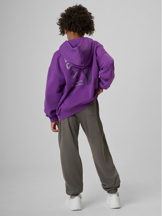 4F 4F Spodnie dresowe 4FJRAW26TTROM2107-25S Szary Regular Fit