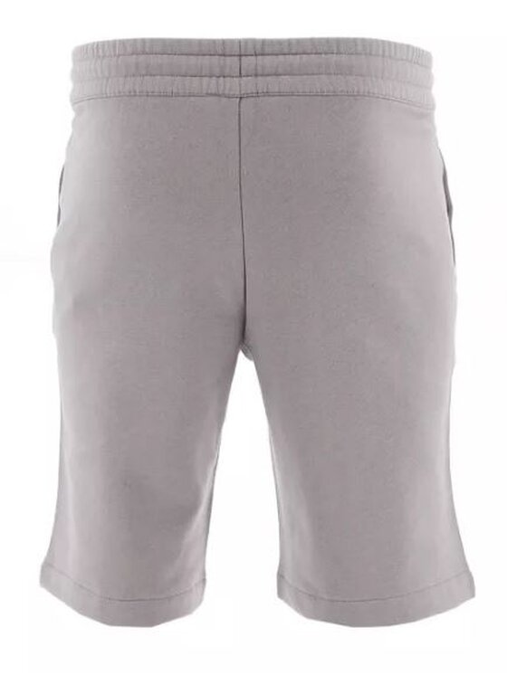 EA7 Emporio Armani EA7 Emporio Armani Šortky z materiálu regular Šedá Active Fit