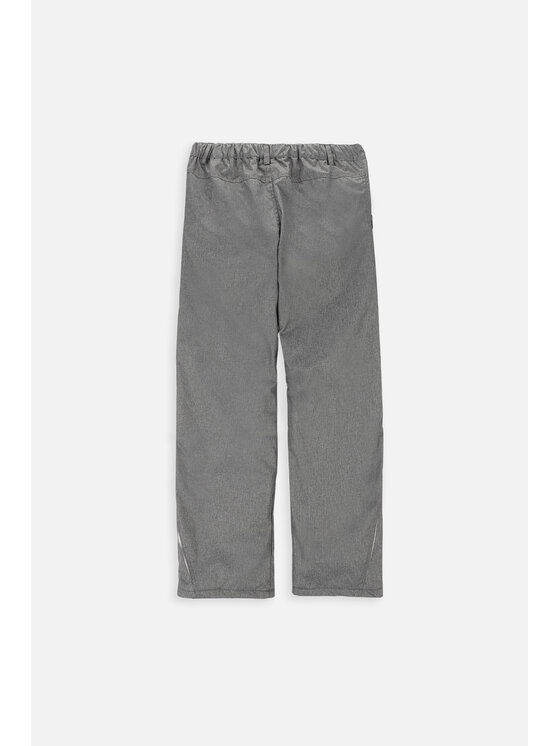 Lemon Explore Lemon Explore Spodnie narciarskie ZL3119601OSB-019 Szary Regular Fit