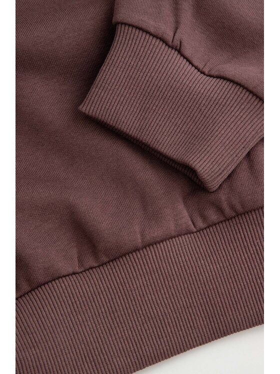 Coccodrillo Coccodrillo Bluza ZC6132604VGA-018 Brązowy Regular Fit