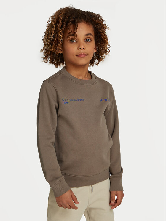 Calvin Klein Jeans Calvin Klein Jeans Μπλούζα Terry Graphic Cn IB0IB02212 Γκρι Regular Fit