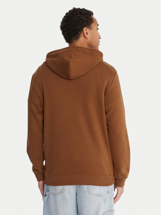 DC Shoes DC Shoes Sweatshirt Star EDYSF03261 Kupferfarben Regular Fit