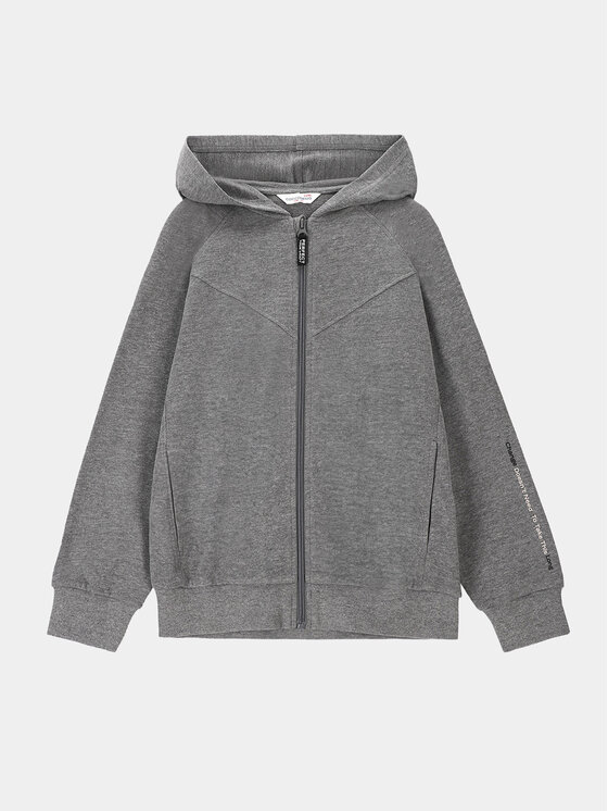 Coccodrillo Coccodrillo Світшот WC4132401VBA Сірий Regular Fit