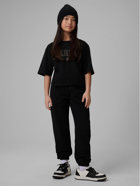 4F 4F Spodnie dresowe BASIC+ Czarny Regular Fit