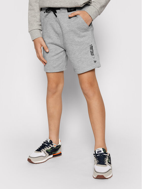 4F 4F Szorty sportowe HJL21-JSKMD003B Szary Regular Fit