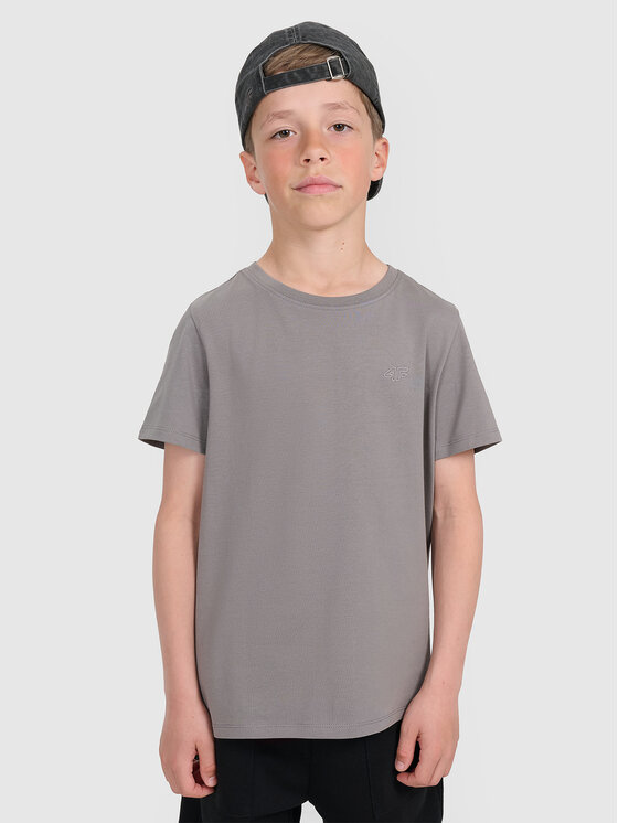 4F 4F T-Shirt BASIC+ Szary ciemny Regular Fit