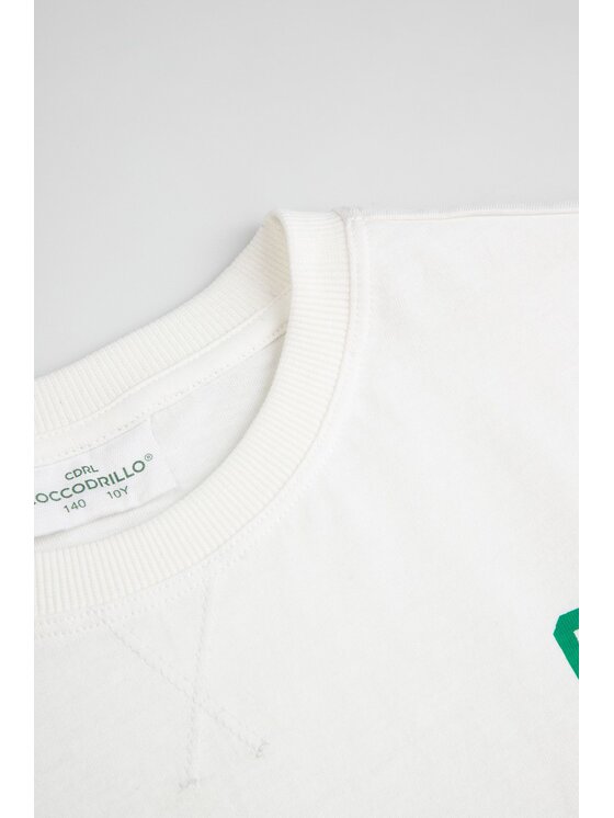 Coccodrillo Coccodrillo T-Shirt ZC6143201ABJ-003 Krémová Regular Fit