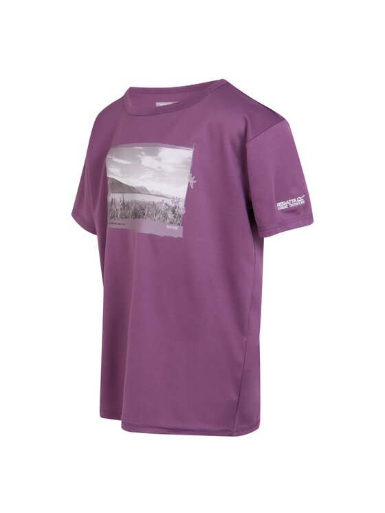Regatta Regatta T-Shirt Alvardo VIII Fioletowy Short Fit