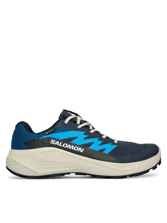 Salomon Salomon Bežecké topánky Alphaglide Gtx L47975100 Modrá