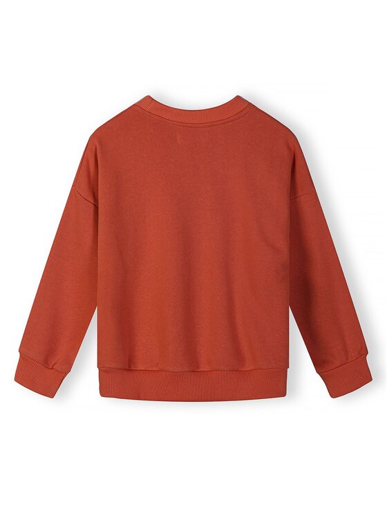 minoti minoti Bluza NOSFLEECE403 Niebieski Regular Fit