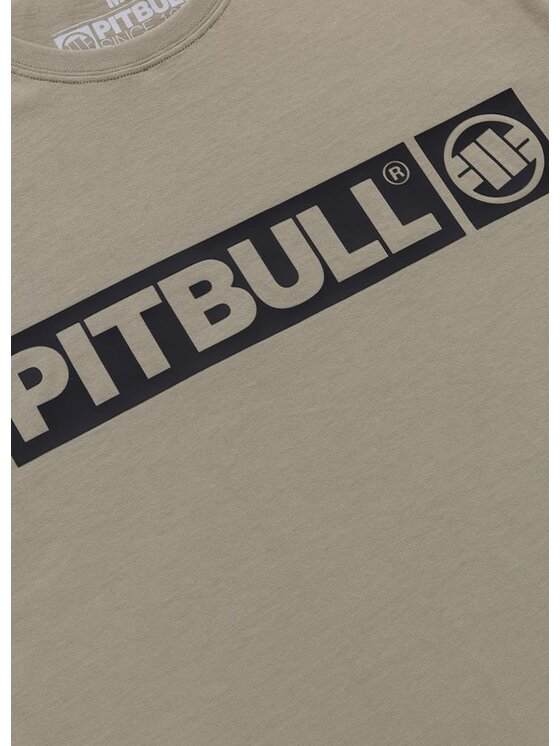 PITBULL PITBULL T-Shirt HILLTOP Szary Regular Fit
