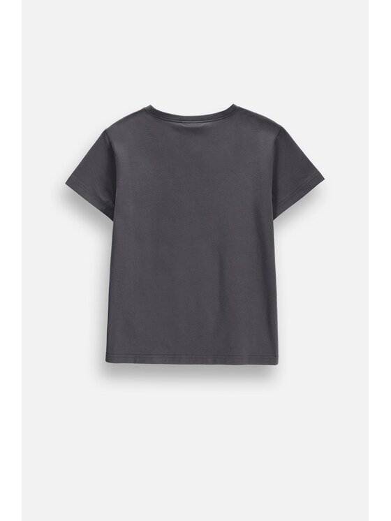 Coccodrillo Coccodrillo T-Shirt ZC6143211VGA-020 Szary Regular Fit