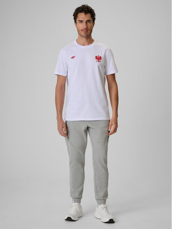 4F 4F Joggery STREFA KIBICA Szary jasny Regular Fit