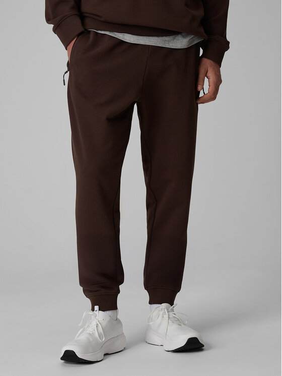4F 4F Spodnie dresowe BASIC+ Brązowy Regular Fit