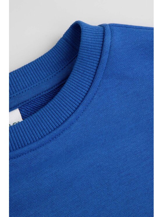 Coccodrillo Coccodrillo Bluza ZC6132101GBJ-032 Granatowy Regular Fit
