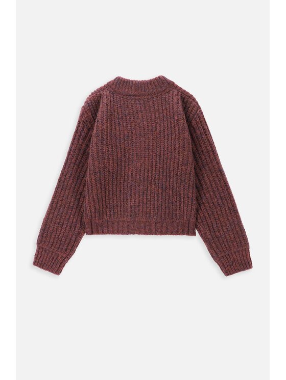 Coccodrillo Coccodrillo Sweter ZC3172201CGJ-017 Bordowy Regular Fit