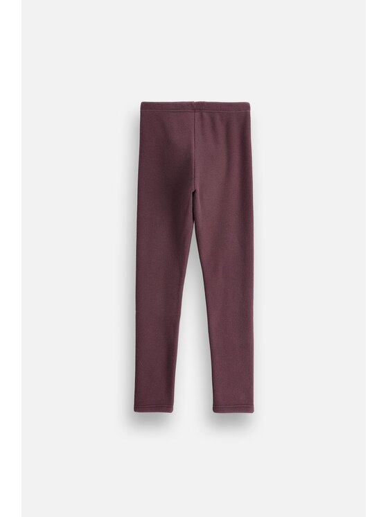 Coccodrillo Coccodrillo Legginsy ZC6122601WGJ-017 Bordowy