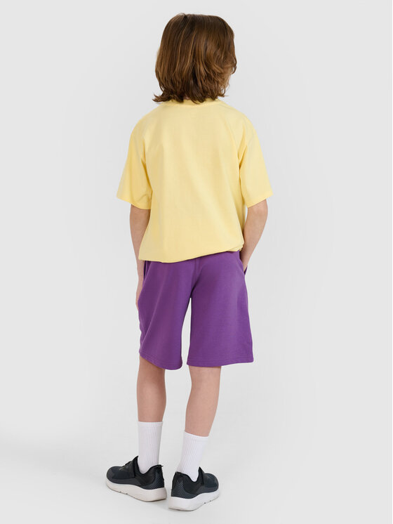 4F 4F Szorty sportowe TSHOM685 Fioletowy Oversize