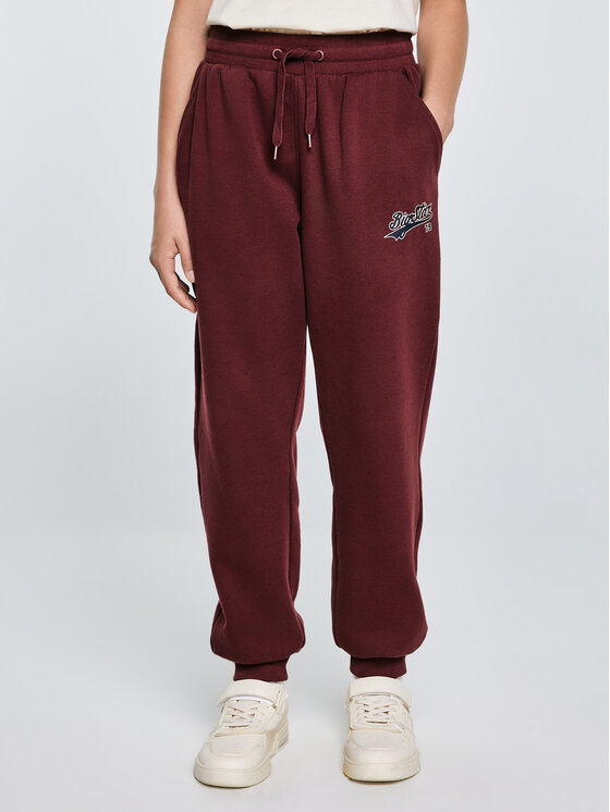 BIG STAR BIG STAR Spodnie dresowe RUBILIAP Bordowy Basic Fit