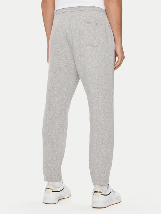 Reebok Reebok Jogginghose Activ Coll Dreamblend 100075606 Grau Regular Fit