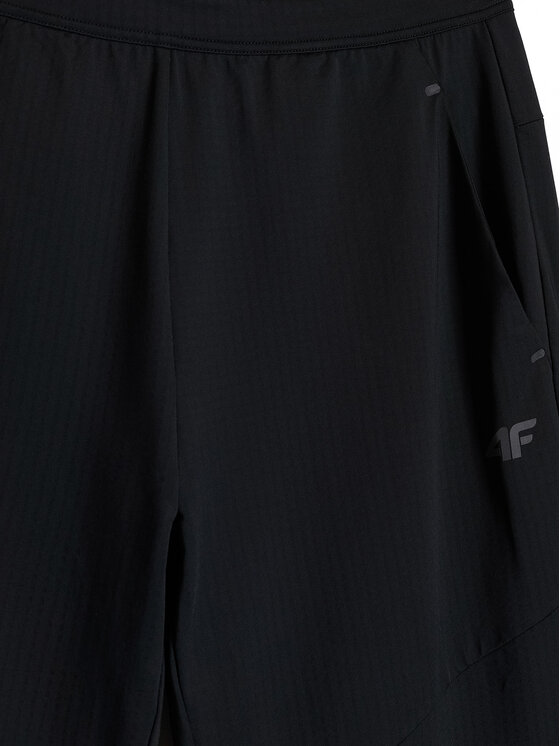 4F 4F Spodnie dresowe TREKKING Czarny Regular Fit