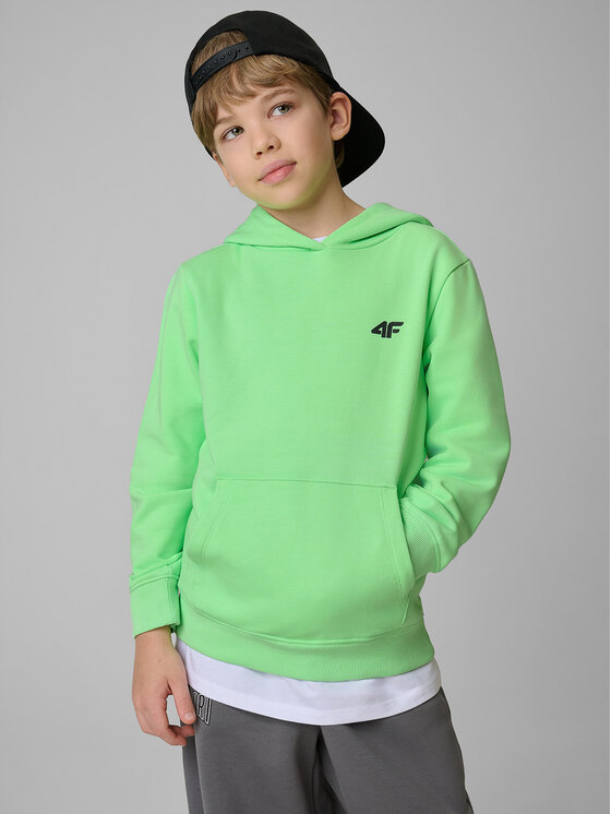 4F 4F Bluza STREET SPORT Zielony Regular Fit