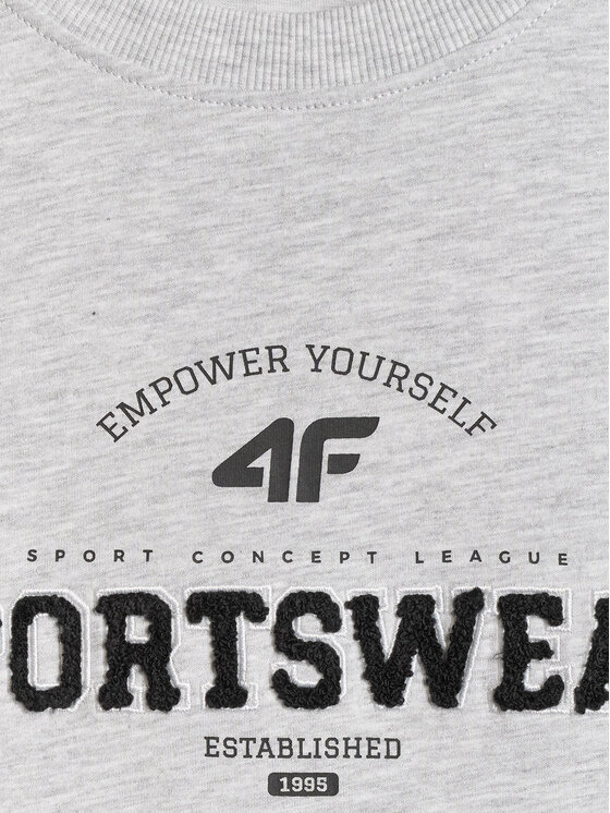 4F 4F T-Shirt SPORTS CLUB Szary jasny Regular Fit