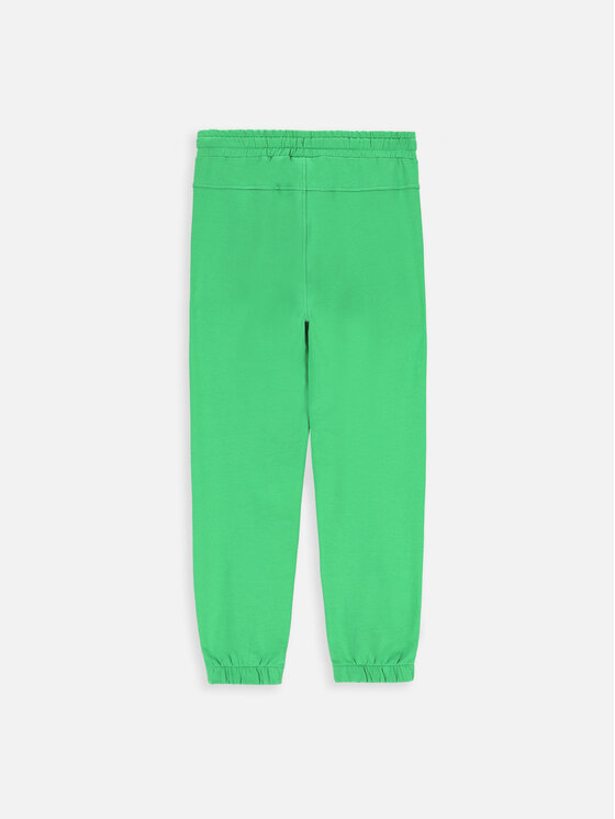 Coccodrillo Coccodrillo Spodnie dresowe ZC3120101VBB Zielony Slim Fit