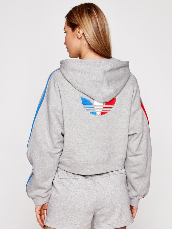 Felpa Tricolor Trefoil GN2855 Grigio Loose Fit