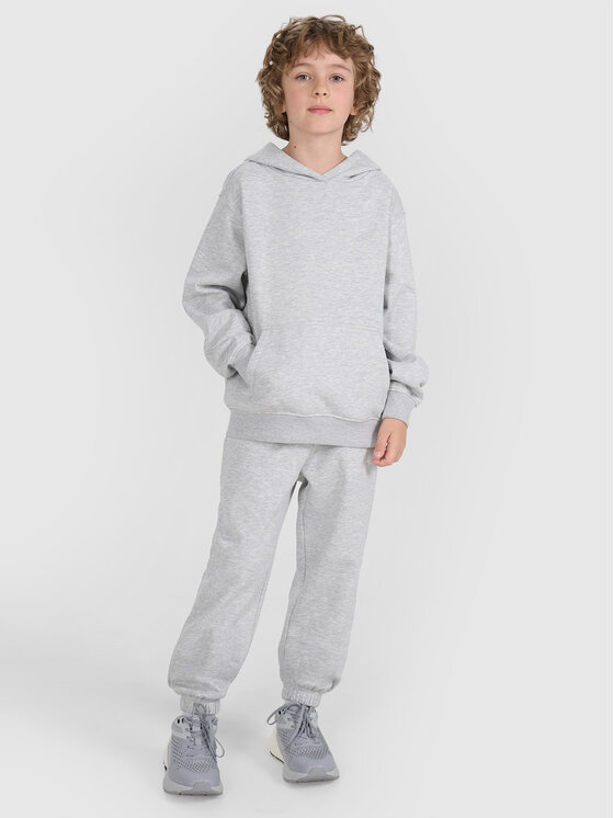 4F 4F Spodnie dresowe BASIC+ Szary Oversize