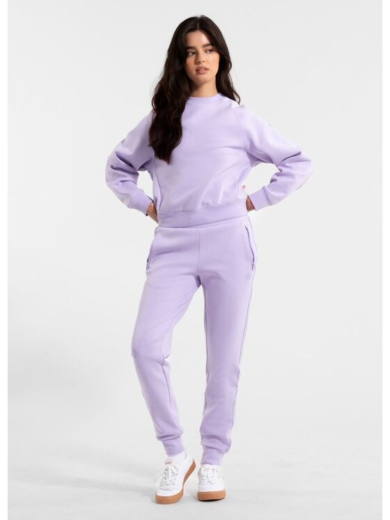 PITBULL PITBULL Bluza Discovery Fioletowy Regular Fit