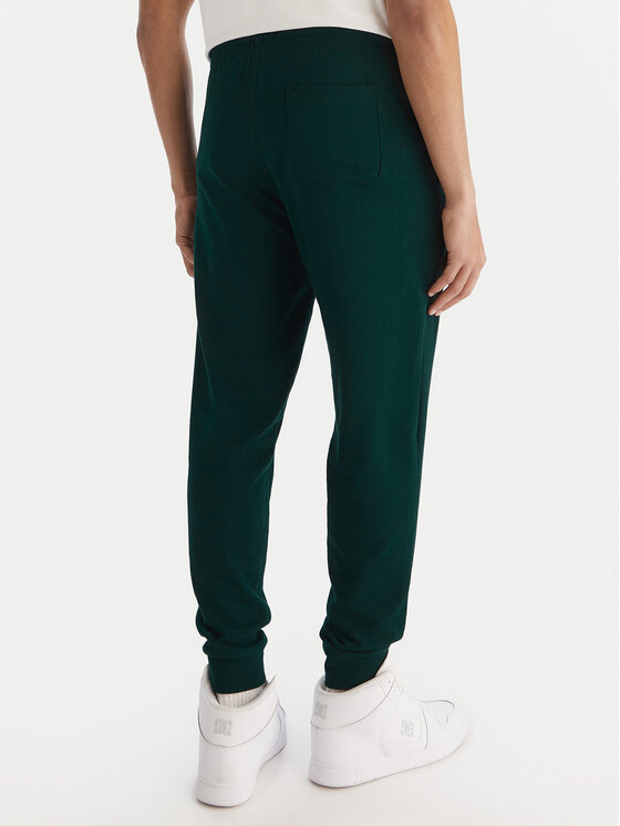 DC Shoes DC Shoes Παντελόνι φόρμας ADYFB03072 GTP0 Πράσινο Regular Fit