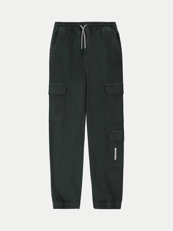 Coccodrillo Coccodrillo Jogger WC4119101NAJ Πράσινο Regular Fit