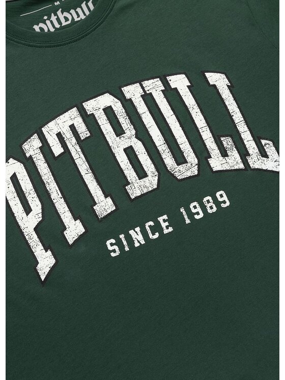 PITBULL PITBULL T-Shirt NORTON Zielony Regular Fit