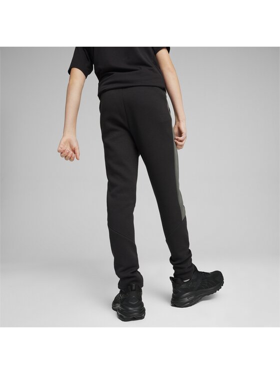 Puma Puma Spodnie dresowe 679198 Czarny Regular Fit