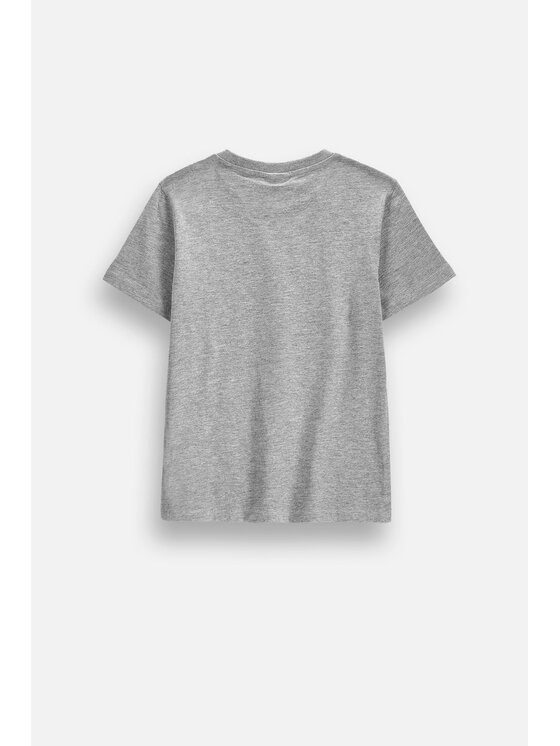 Coccodrillo Coccodrillo T-Shirt ZC6143225VBB-019 Szary Regular Fit