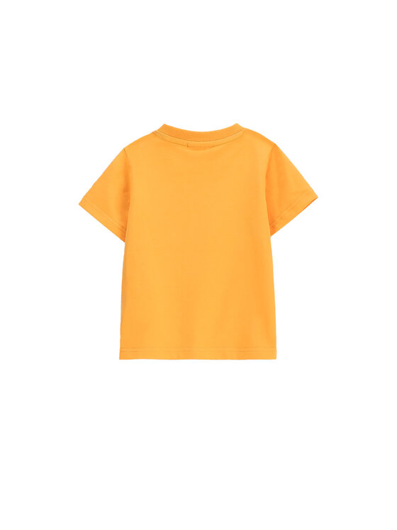 Coccodrillo Coccodrillo T-shirt WC5143202DBN Narančasta Regular Fit