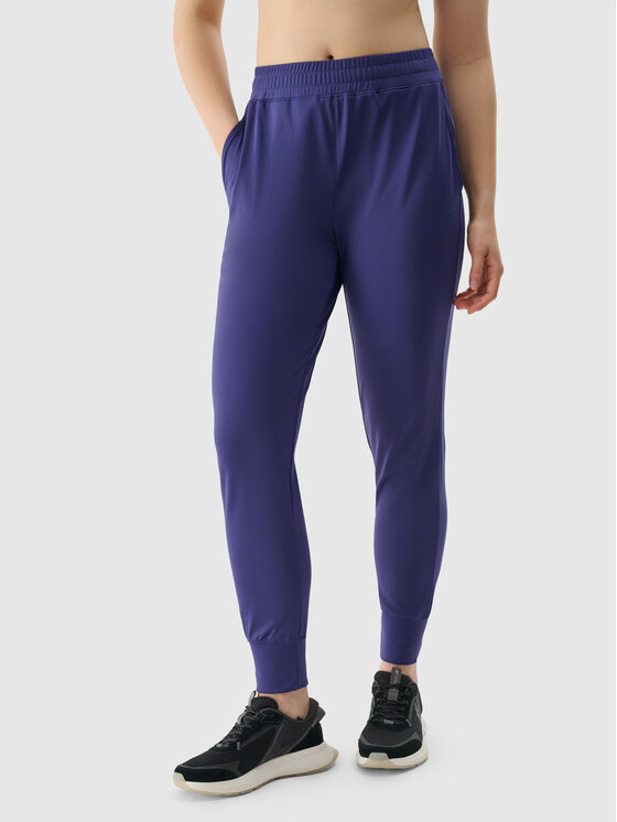 4F 4F Spodnie dresowe BASIC+ Granatowy Regular Fit