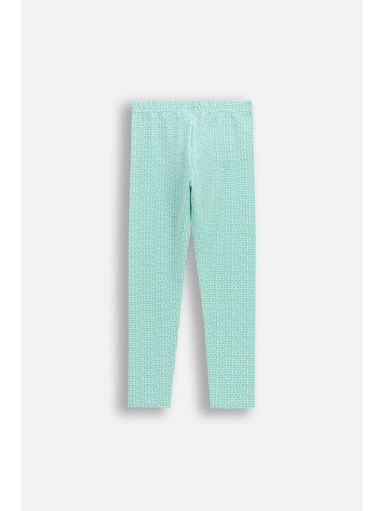 Coccodrillo Coccodrillo Legginsy WC6122107VGA-031 Zielony
