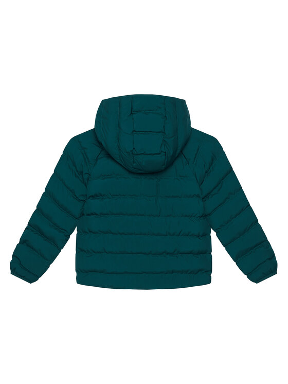 The North Face The North Face Geacă de iarnă Perrito NF0A88VJ Verde închis Regular Fit